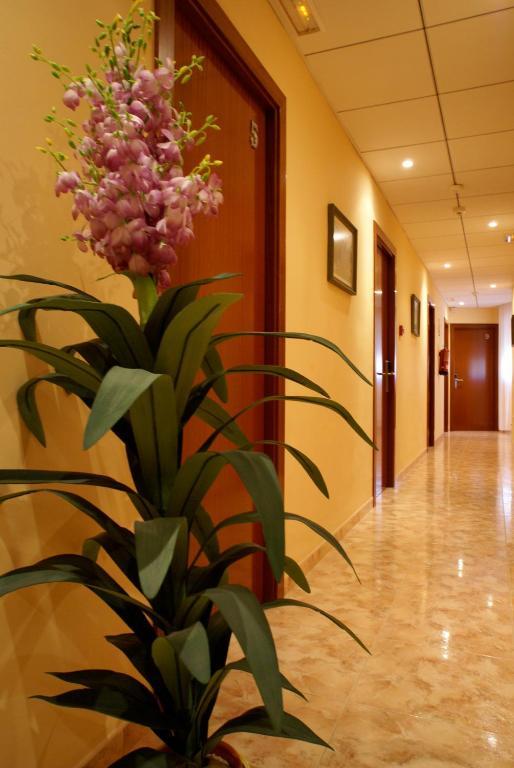 Hotel Mont-Roig Exterior photo